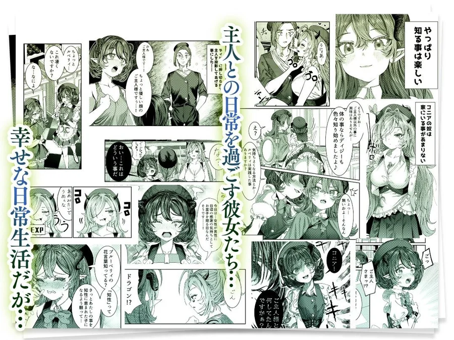 【無料エロ漫画・同人】奴◯を調教してハーレム作る〜育てた奴◯たちと純愛ハーレムHするまでの話〜-2枚目