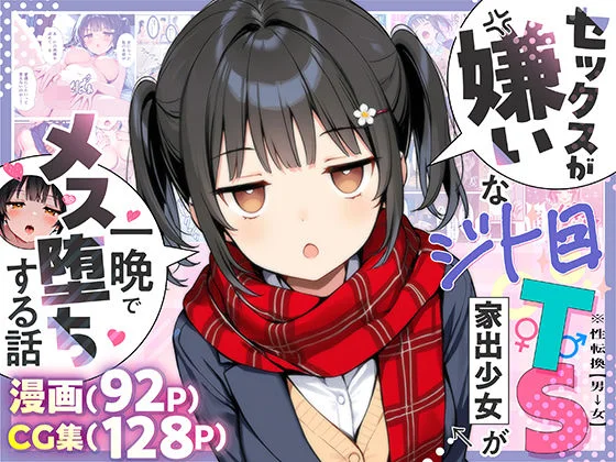 d 613047 sekkusu kirai iedeshoujo fi