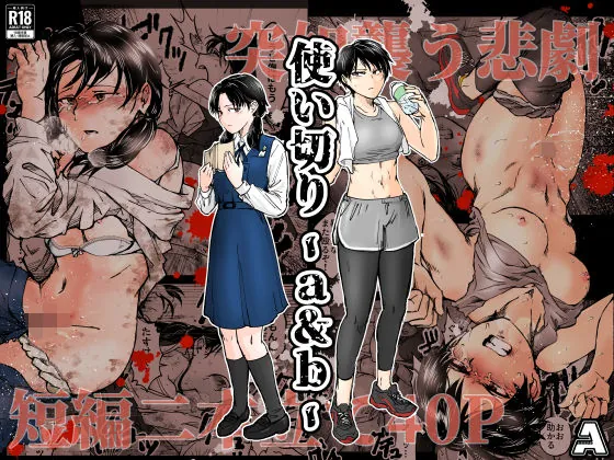 d 688817 tsukai kiri a b fi